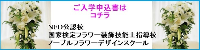 nyugaku - コピー